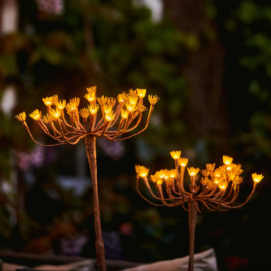 Wild Fennel Garden Feature Light