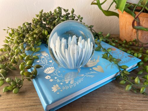 Blue and White Paperweight