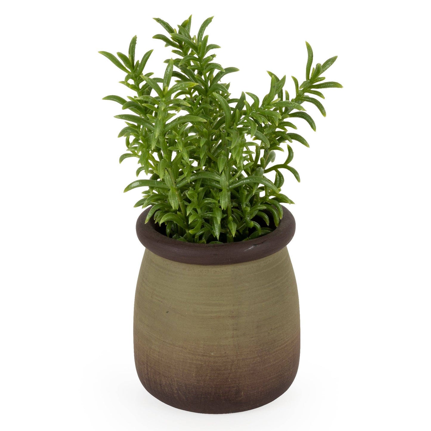 Small Faux Sedum Lineare in Green Pot