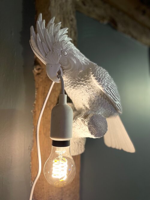 White Cockatoo Wall Lamp