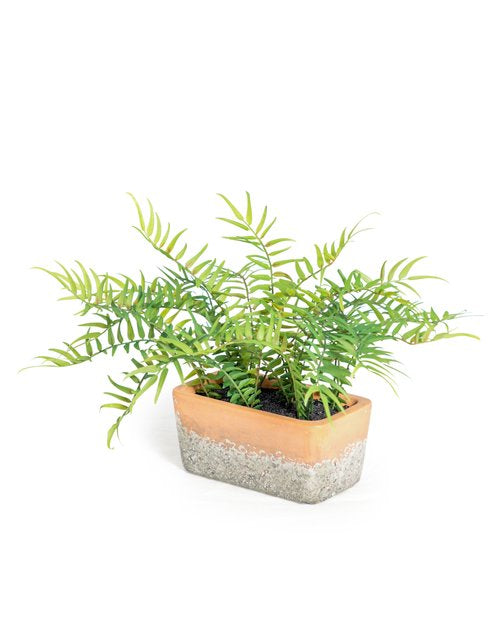 Faux Potted Fern