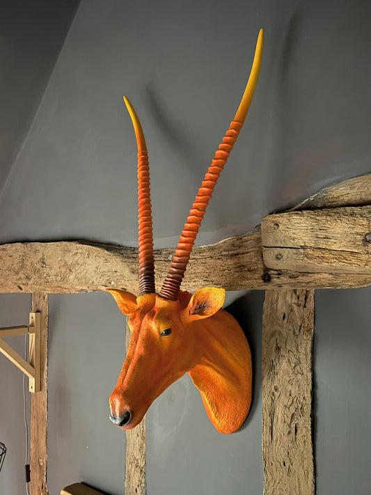 Wall Mounted Head - Andy The Antelope Orange