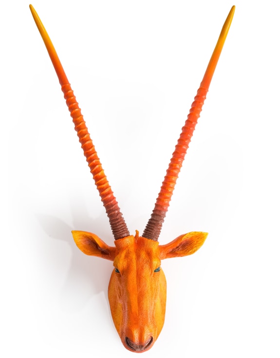 Wall Mounted Head - Andy The Antelope Orange