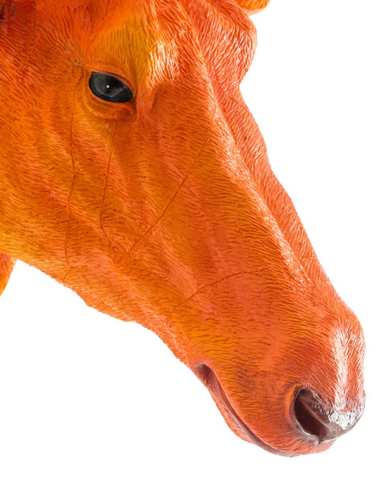 Wall Mounted Head - Andy The Antelope Orange