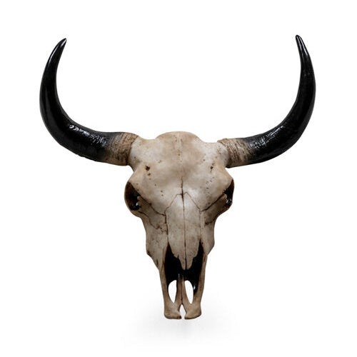 Wall Mounted Bison Head Skull Large