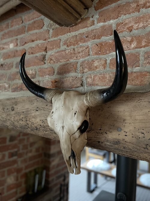 Wall Mounted Bison Head Skull Large