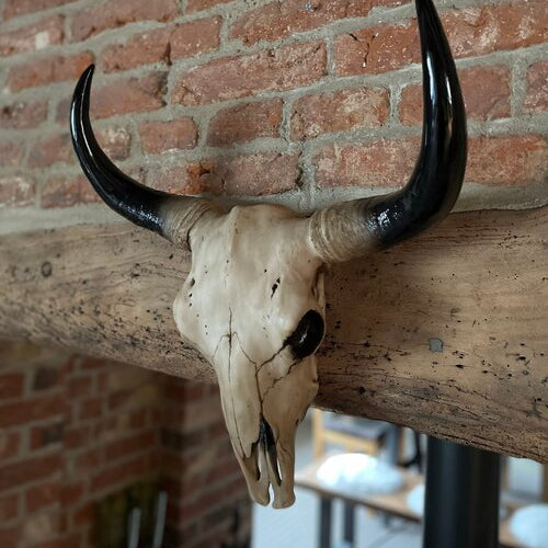Wall Mounted Bison Head Skull Large