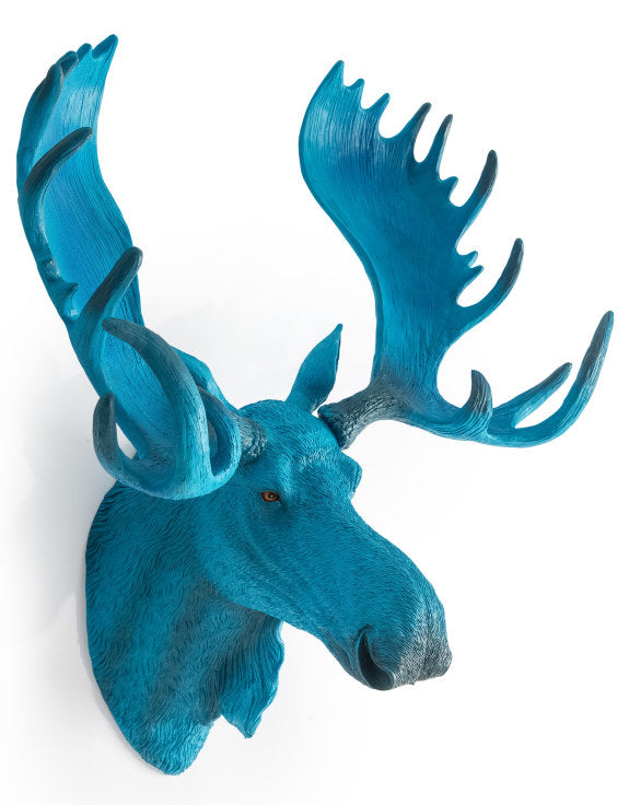 Wall Mounted Head - Marvin The Electric Blue Moose