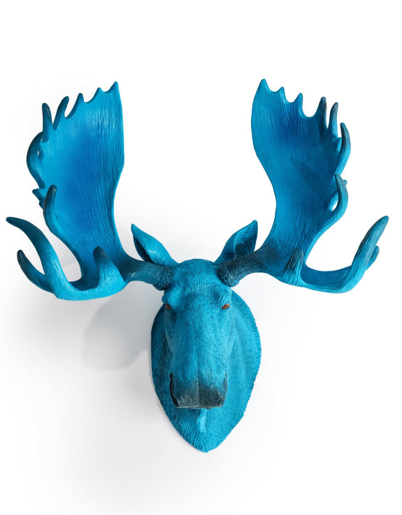 Wall Mounted Head - Marvin The Electric Blue Moose