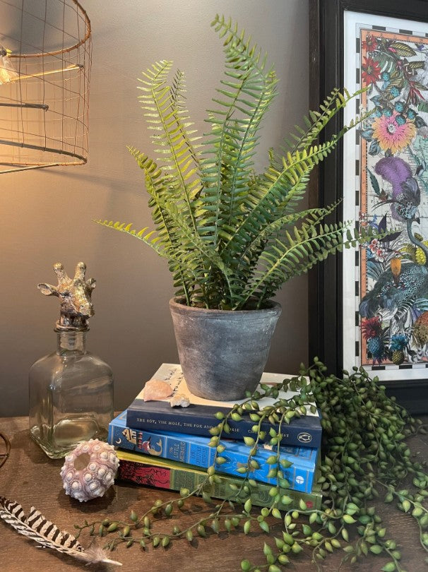 Faux Potted Fern - Grey Pot