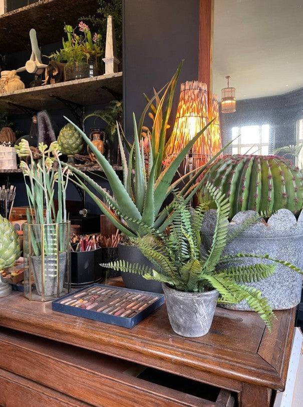Faux Potted Fern - Grey Pot