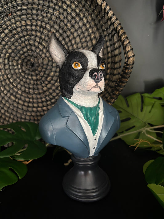 Suited Up Chihuahua