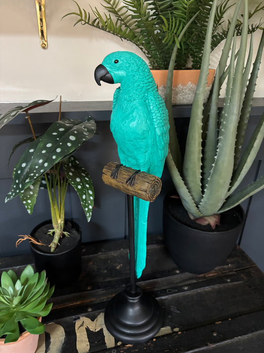 Bright Green Parrot on a Perch