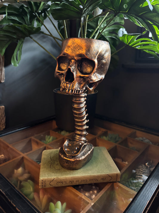 Skull And Back Bone Sculpture - Gold
