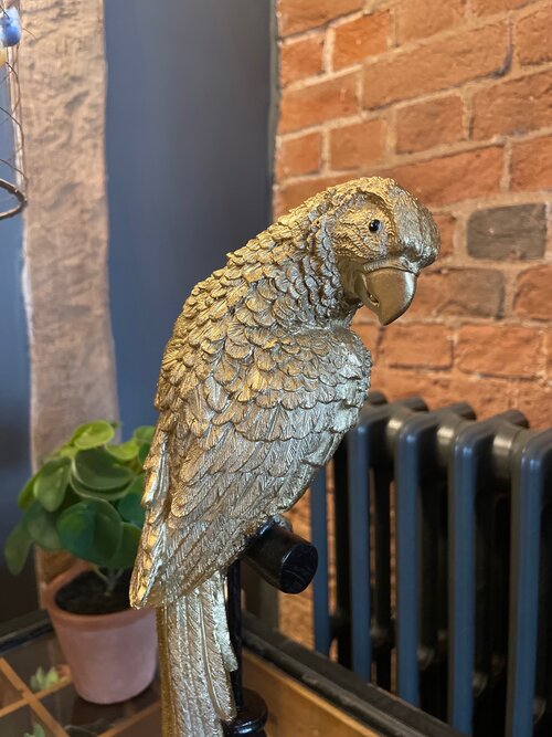 Tropical Gold Parrot on a Perch