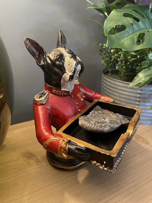 French Bulldog Coin Holder