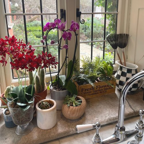 Wooden Box - Covent Garden