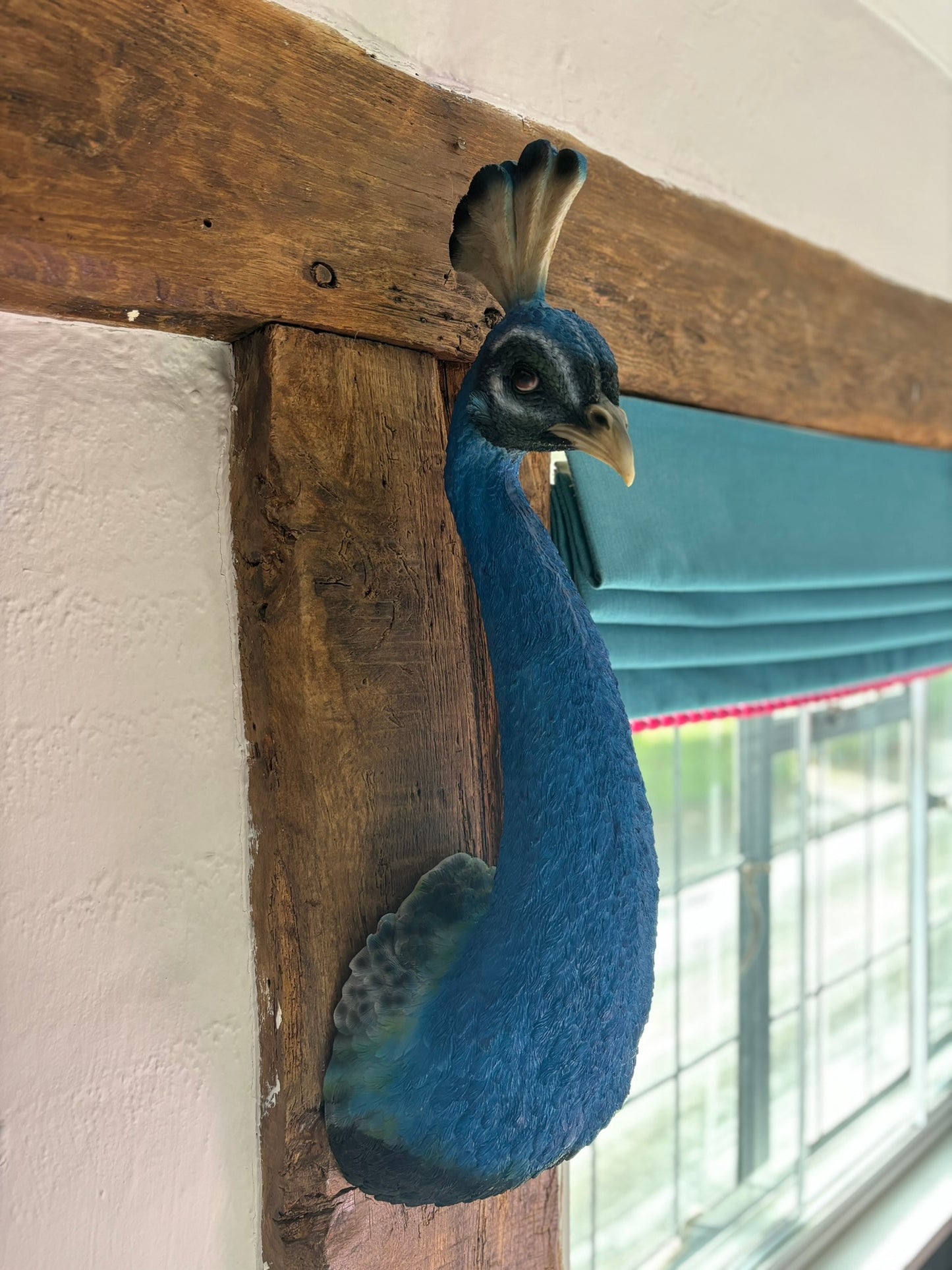 Peacock Head Wall Figure