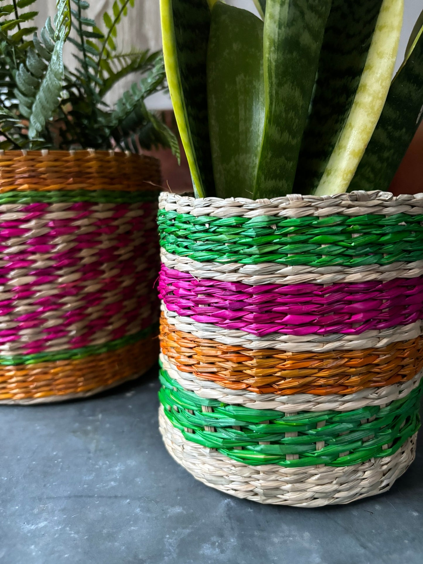 Patterned Seagrass Planters - Set of 2