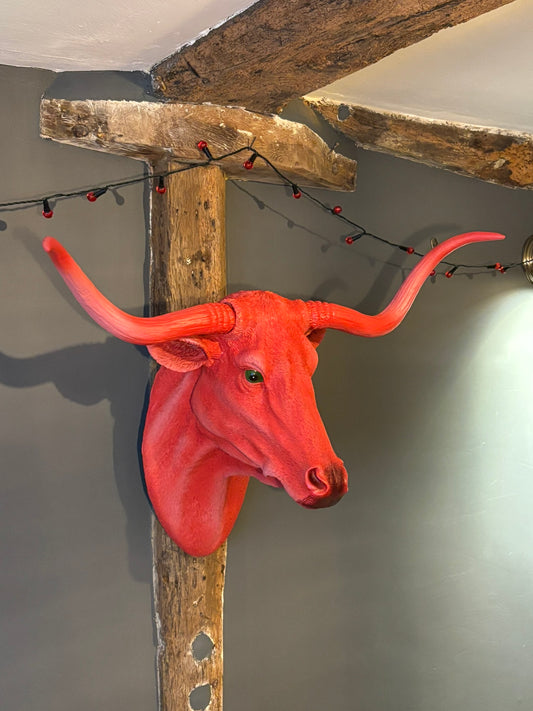 Wall Mounted Head - Simon The Pink Steer
