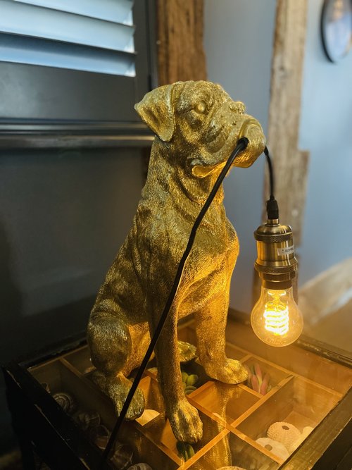 Bob The Boxer Table Lamp