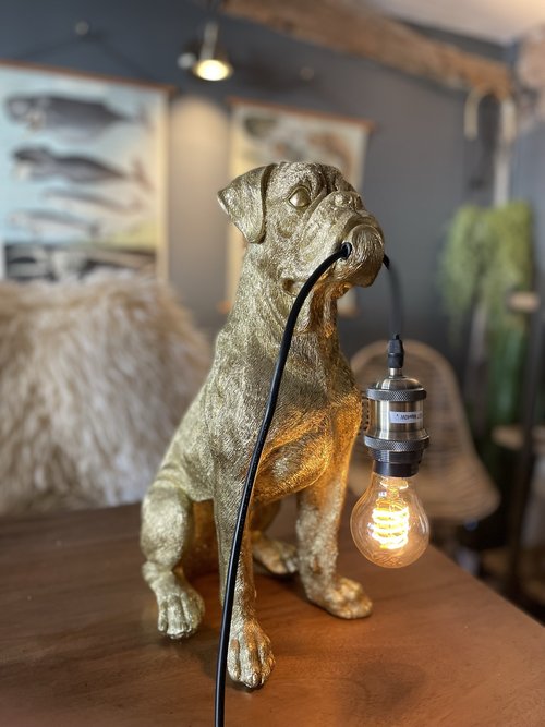 Bob The Boxer Table Lamp