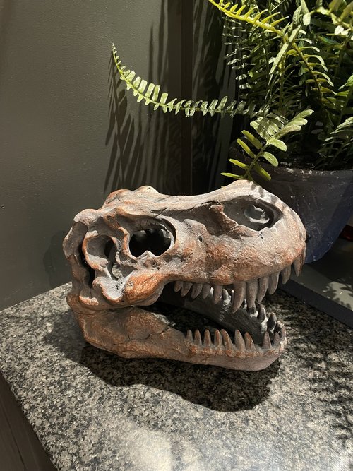 Tabletop T-Rex Skull