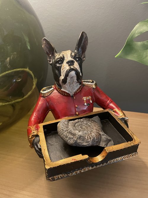 French Bulldog Coin Holder