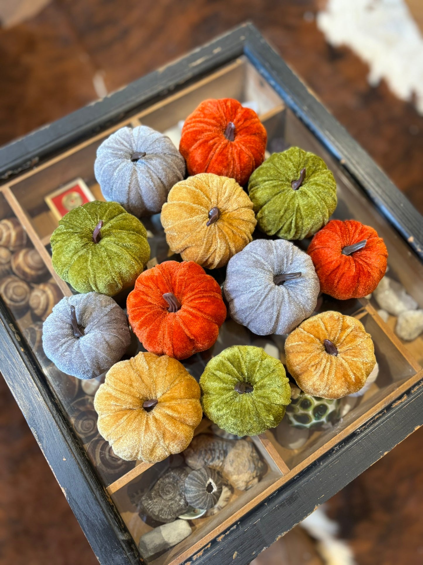 Pumpkin Collection - 12 piece