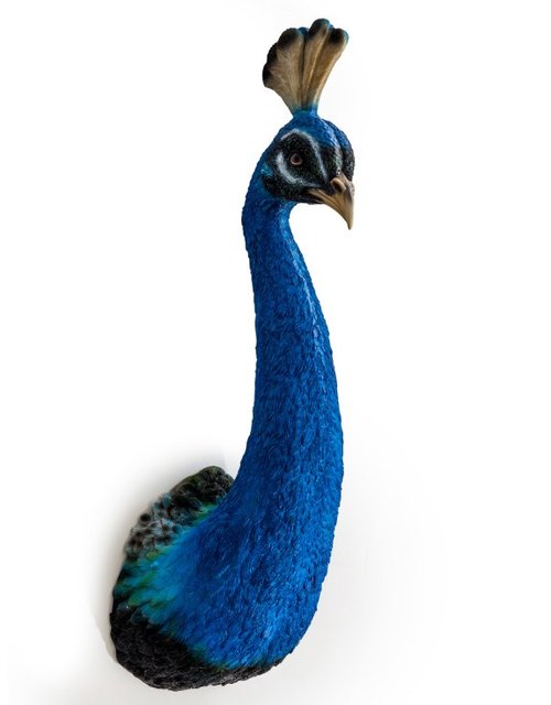 Peacock Head Wall Figure