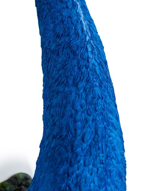 Wall Mounted Head - Pretty Peacock