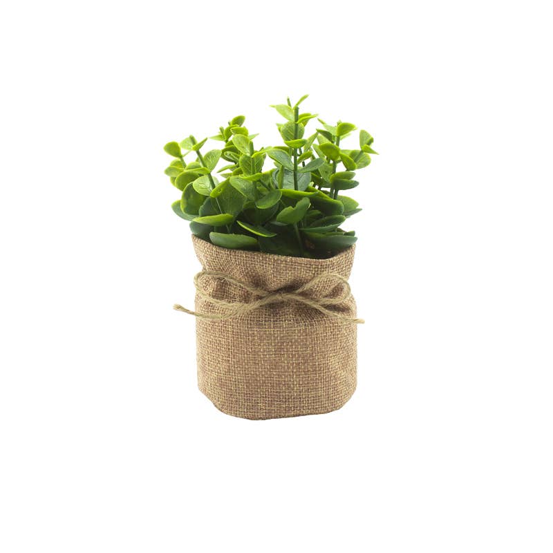 Faux Eucalyptus In Pot