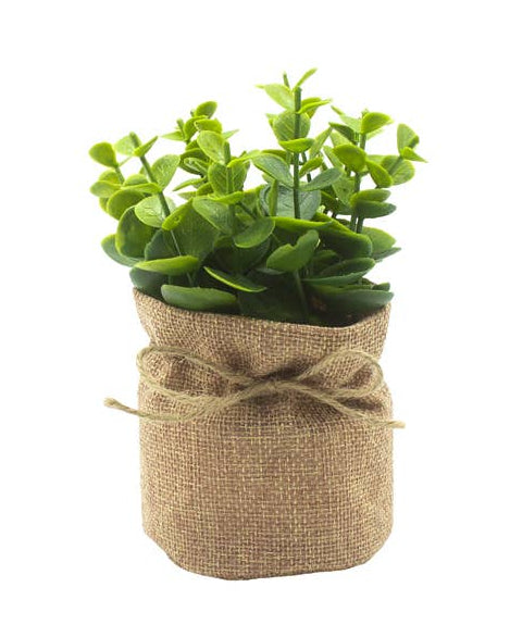 Small Faux Eucalyptus In Pot