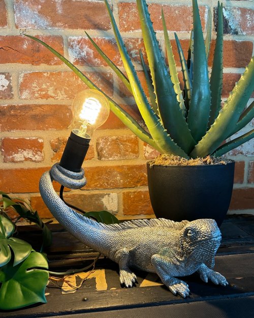 Lighting