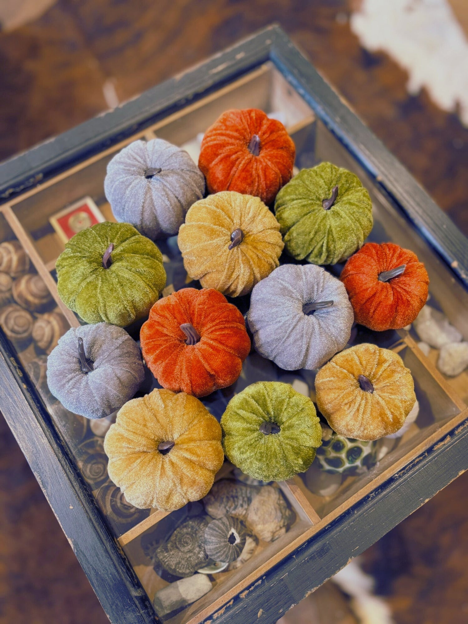 Autumn
