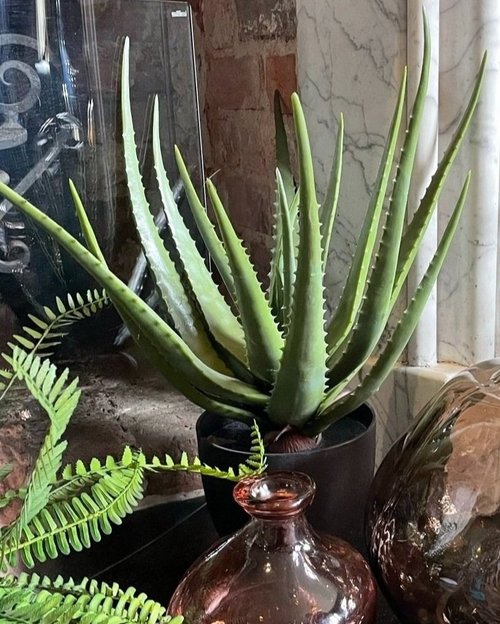 Faux Plants