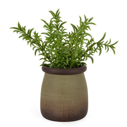 Small Faux Sedum Lineare in Green Pot