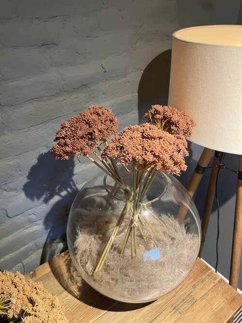 Faux Cow Parsley in Dark Brown - 3 Bunches