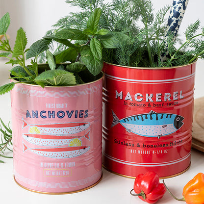 Fish Storage Tins - Set of 2