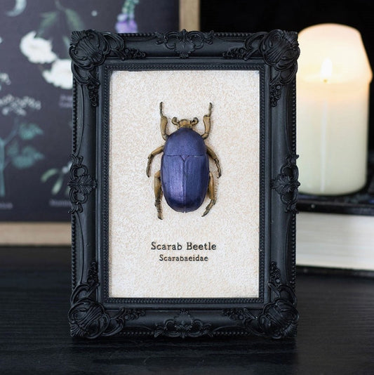 Gothic Scarab Beetle Frame 3D Wall Art