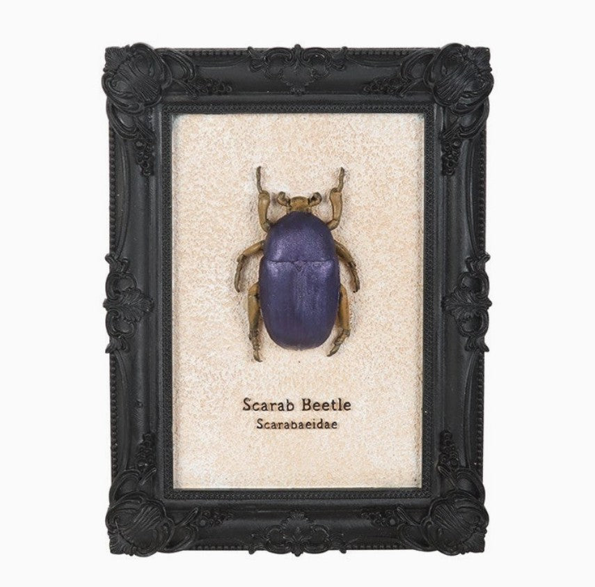Gothic Scarab Beetle Frame 3D Wall Art