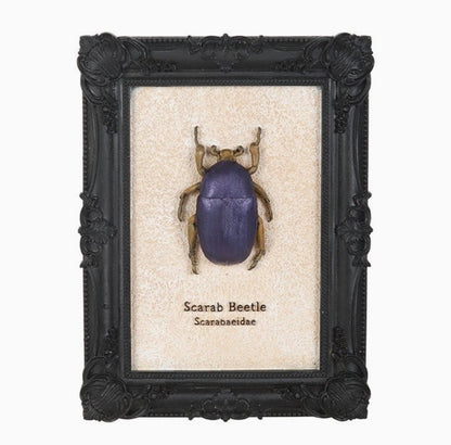 Gothic Scarab Beetle Frame 3D Wall Art