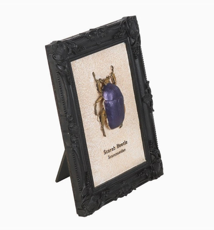 Gothic Scarab Beetle Frame 3D Wall Art