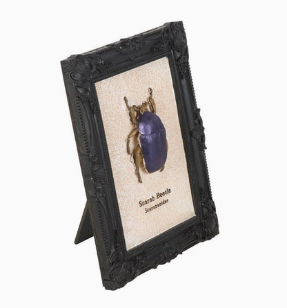 Gothic Scarab Beetle Frame 3D Wall Art