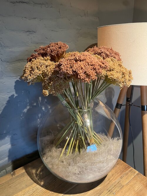 Faux Cow Parsley in Dark Brown - 3 Bunches
