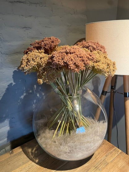 Faux Cow Parsley in Dark Brown - 3 Bunches