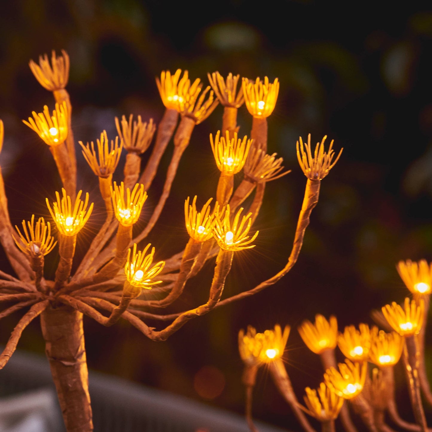 Wild Fennel Garden Feature Light