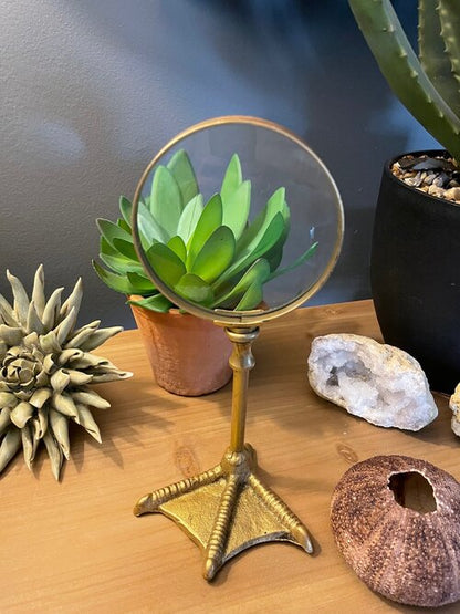 Bird Leg Magnifying Glass - Bronze
