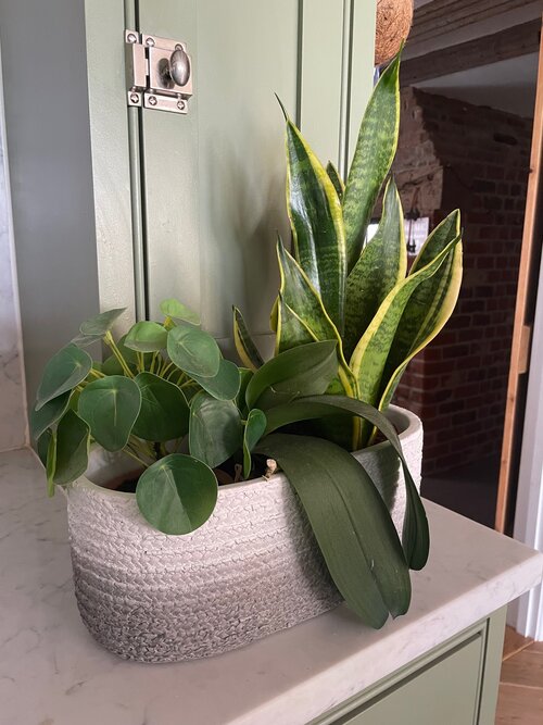 Ombre Woven Effect Plant Pot - Oval