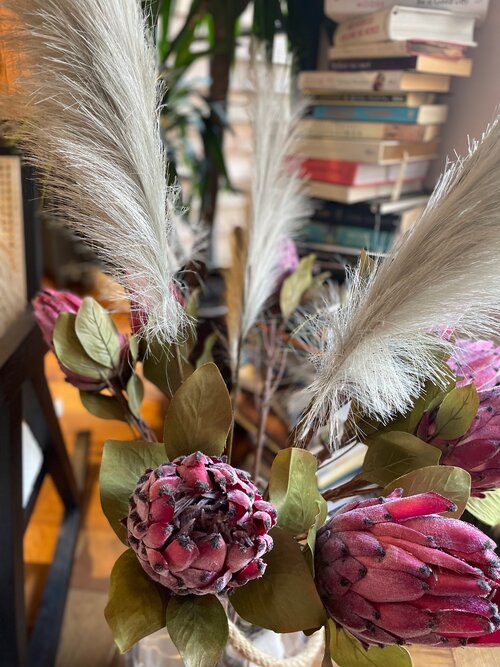 Grey Reed - 6 Stems